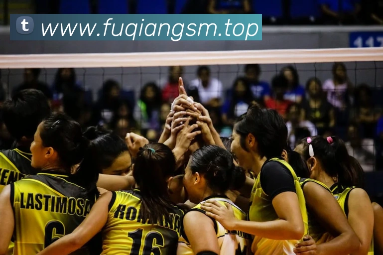 b体育网APP 体育赛事宣传图